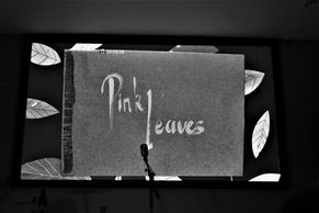 The Quiet Screamers & Physalis [Pink Leaves] @ Le Musée de La BD