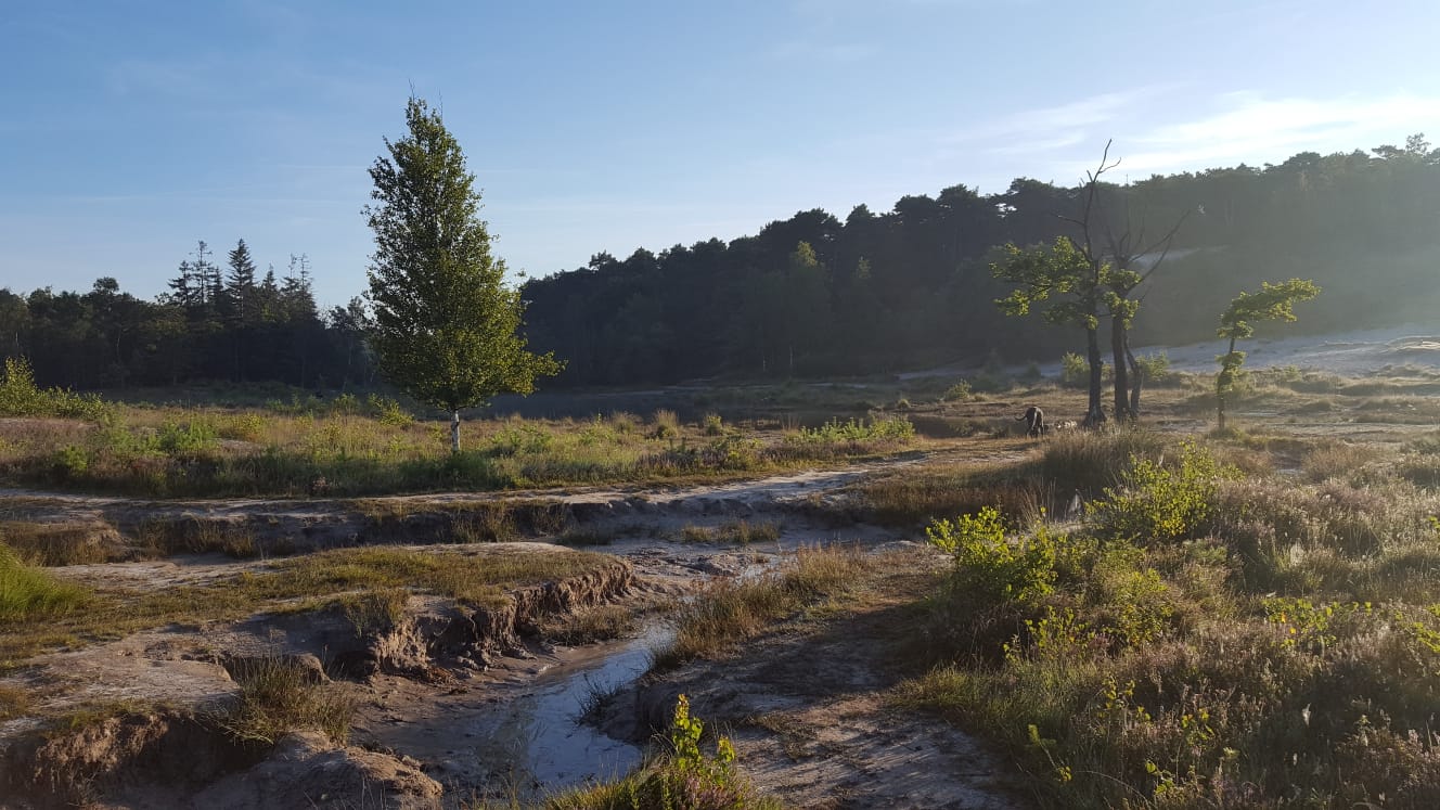 Foto van schrijver: gigitalk2