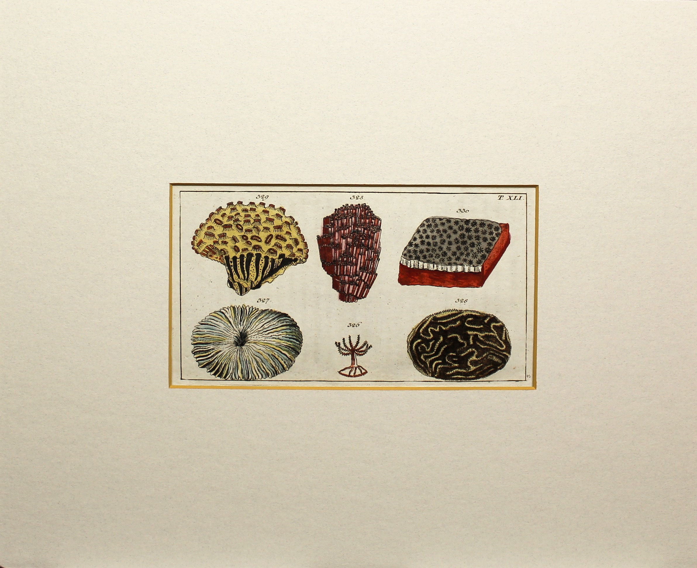 Matted Vintage 1802 Coral piece with painted Bevel