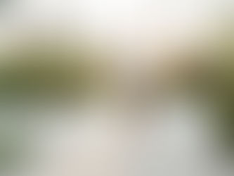 Why Running Makes Your Life Better