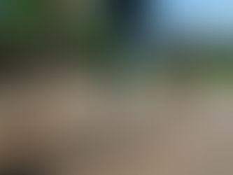 Is Exercise Important During Your Diagnosis?