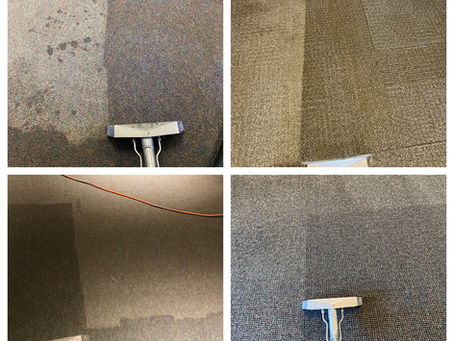 Professional commercial carpeting deep cleaning