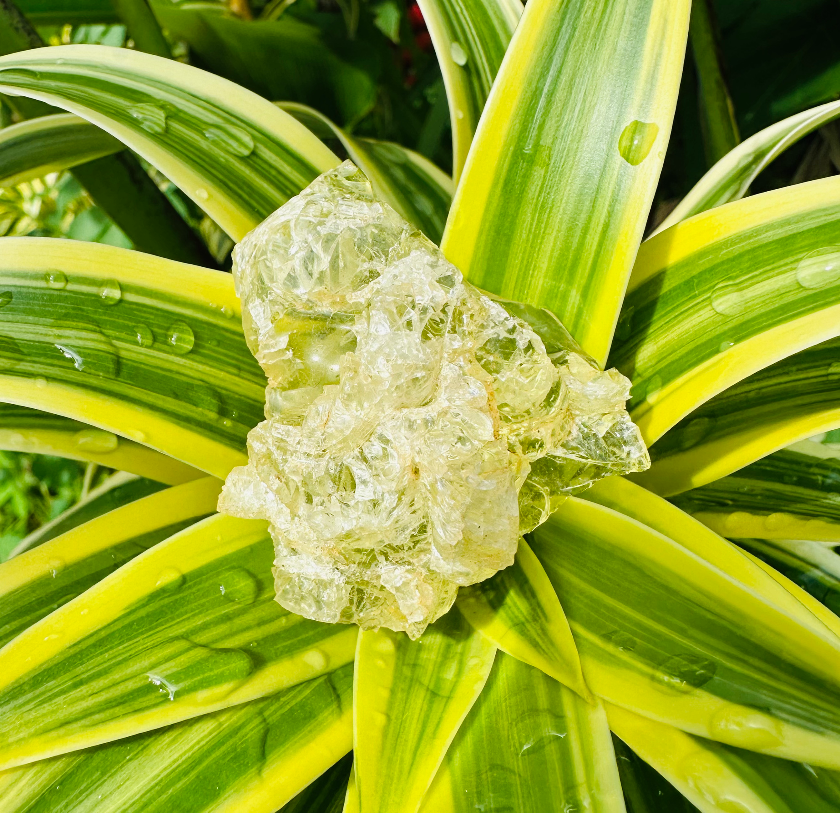 Nirvana Gold Andara Cluster