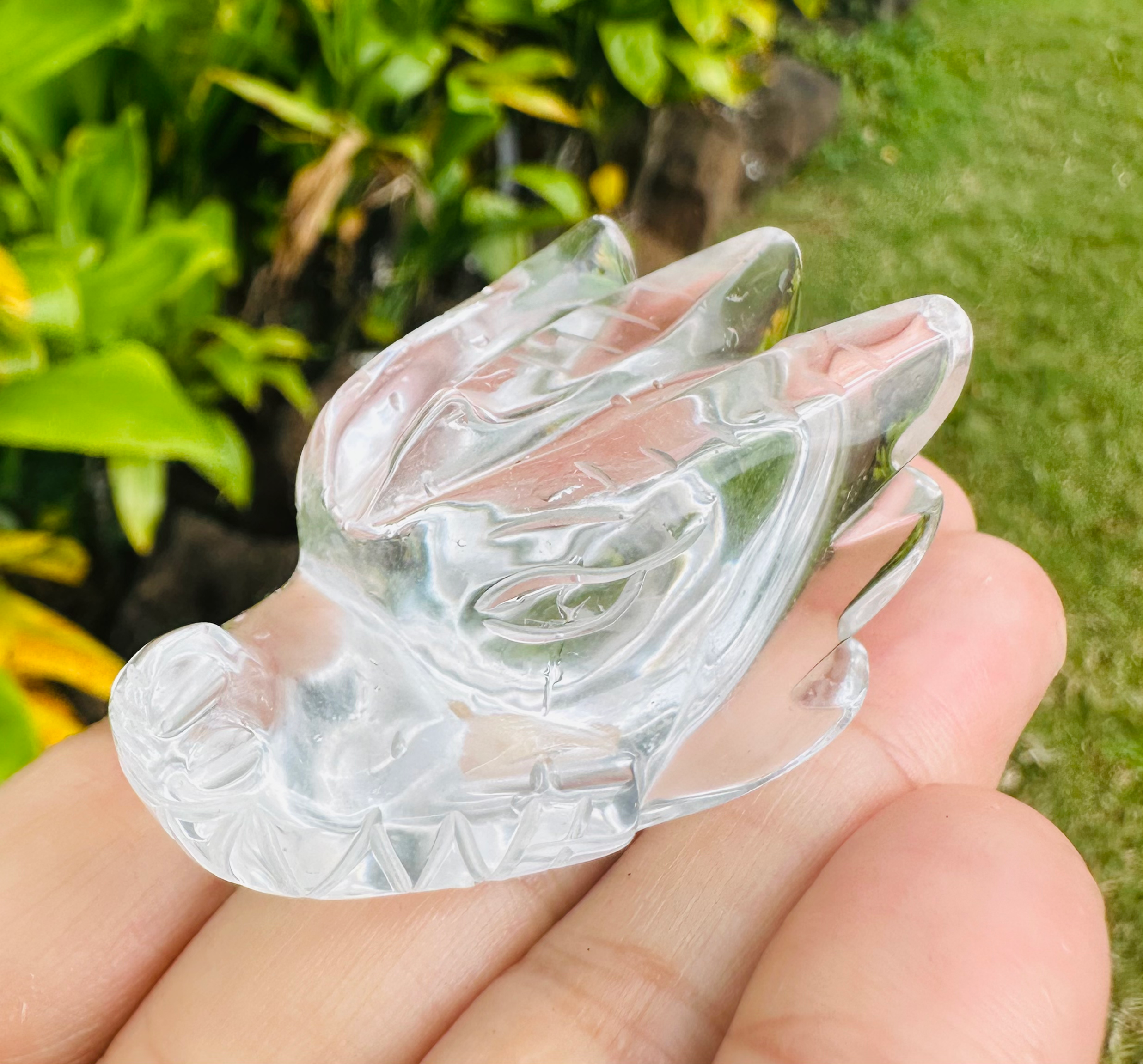 Baby Dragon Clear Elder #2