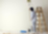 Painting Services by Your Duct Guy