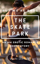 The Skate Park Cover