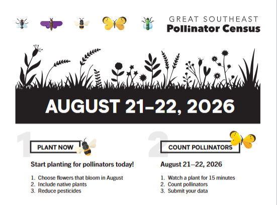 Great South East Pollinator Census