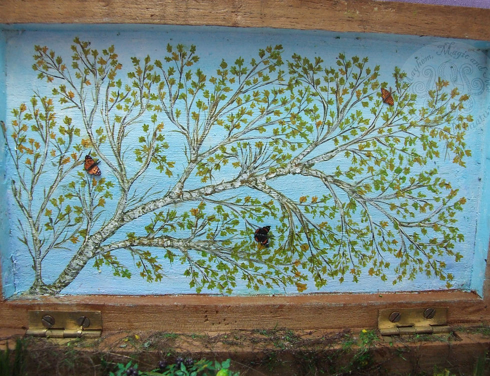 Thumbnail: Secret Space - Woodland Walk