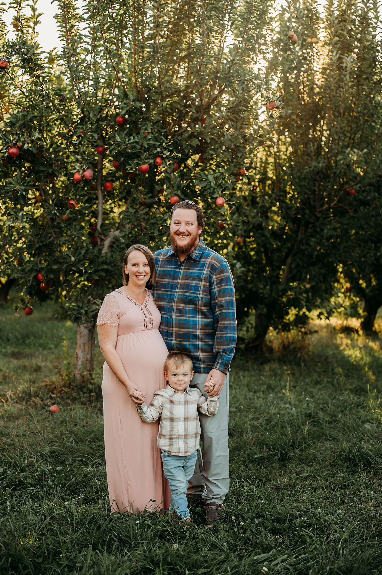 maternity apple orchard photography session in boise