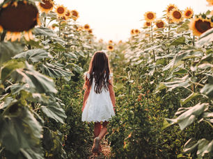 child walking in boise sunflower fields