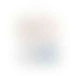 Suede Heirloom Album Cover Options