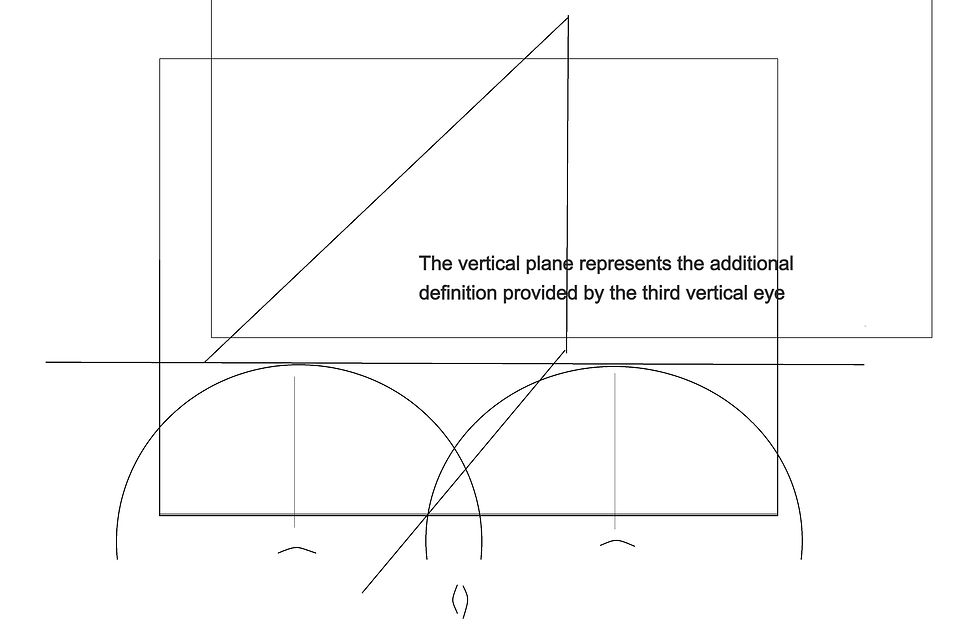 How we might view the world with a thrid vertical eye