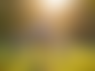 Strategies for Maintaining Digital Well-Being and Combating Tech Addiction in Families