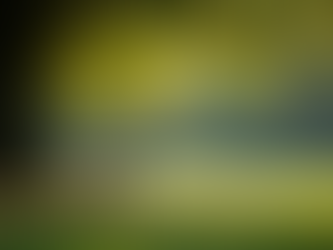 Understanding the Mental Health Effects of Isolation and Effective Strategies to Overcome Loneliness