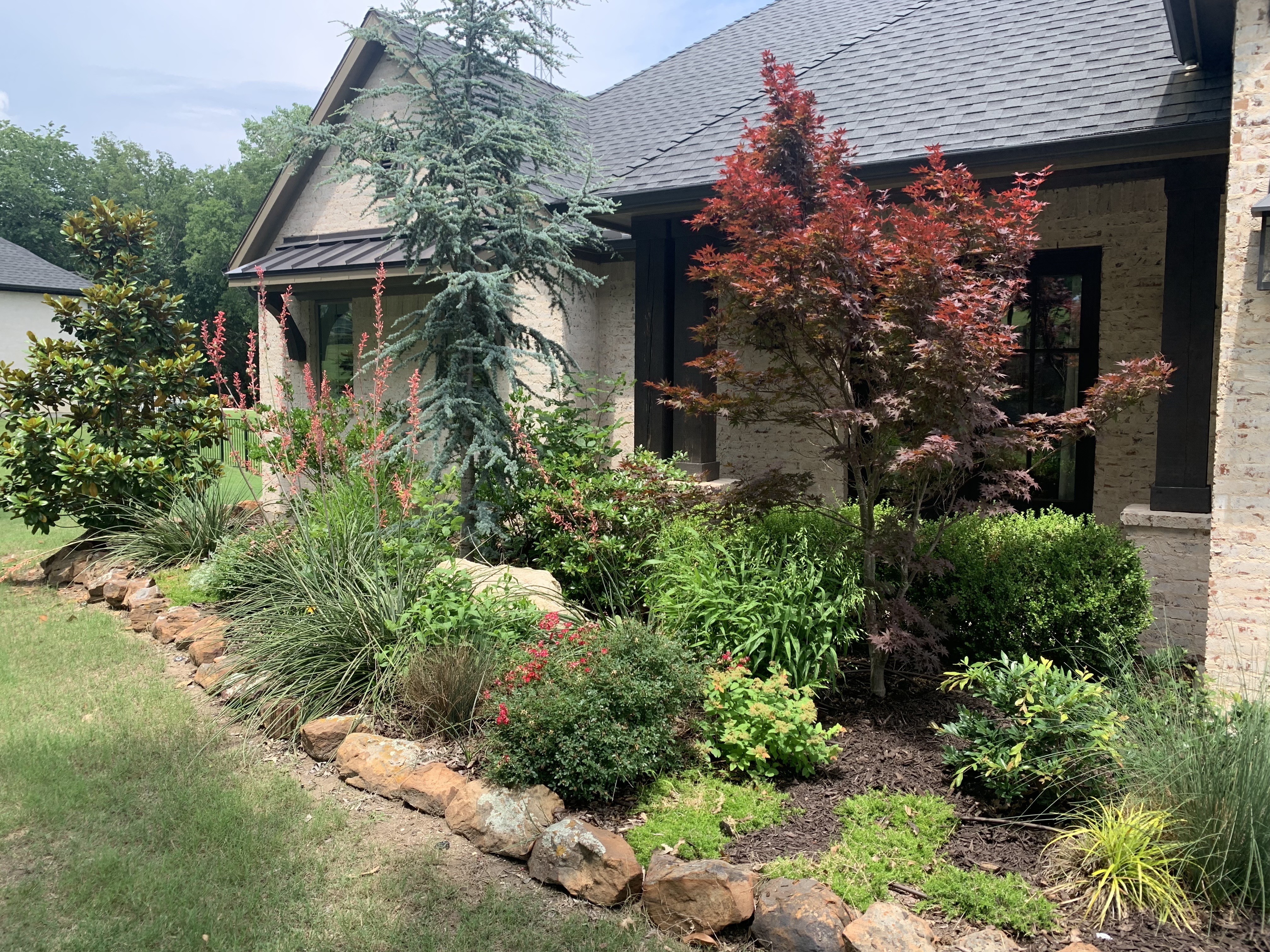 Boulder-edged front planting bed with a red maple by Grayscape Landscape & Design, a landscaper in Highland Park, TX