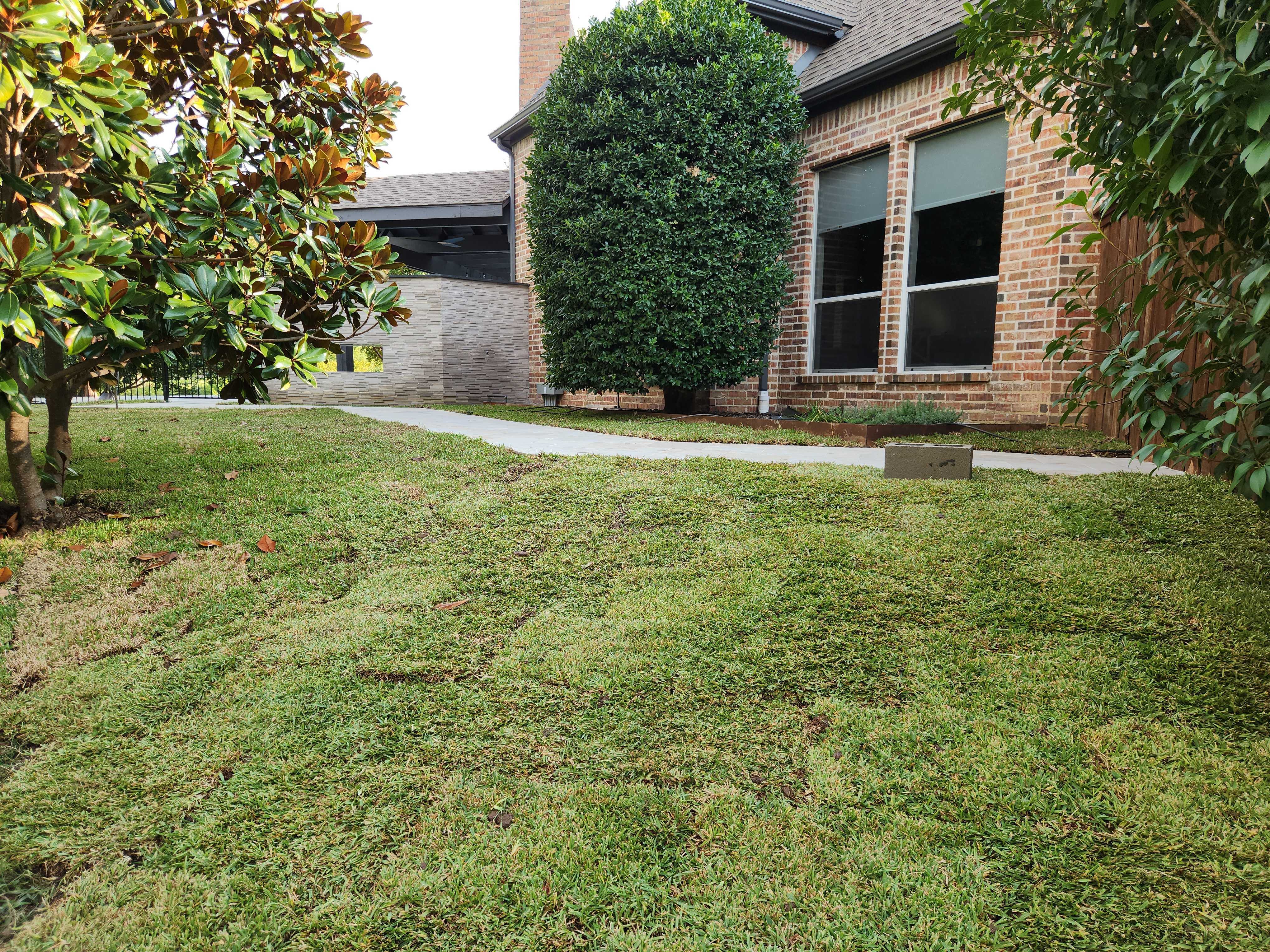 New sod lawn in front of a brick home by Grayscape Landscape & Design, a landscaper in Collin County, TX