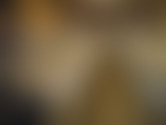 Question écrite : conditions des animaux dans les élevages ultra-intensifs