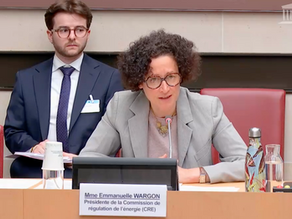 Audition de la Présidente de la Commission de régulation de l'énergie