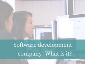 Software development company- What is it?