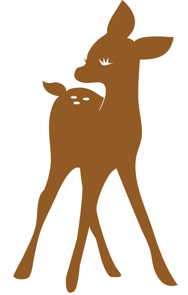 家庭で作るバクテー 肉骨茶