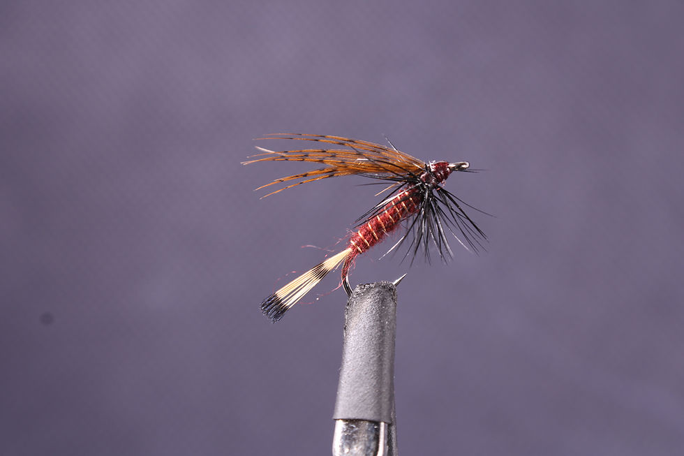 Claret and partridge wet fly. 