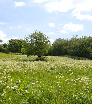 Belmonte gardens horizontal.JPG