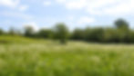 Belmonte gardens horizontal.JPG