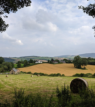 Farmland for BNG Banking