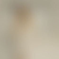 The True Worth of Working with a Skilled Professional Photographer
