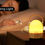 Thumbnail: Rechargeable small lamp with 2 light colours and mosquito repellent-White