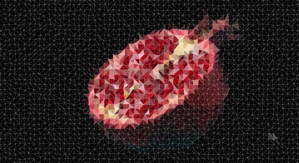 lopoly sample.jpeg