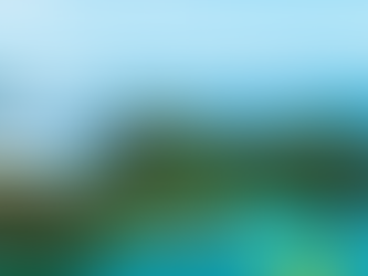 Real‑World Bids: Wins and Losses - Part 3