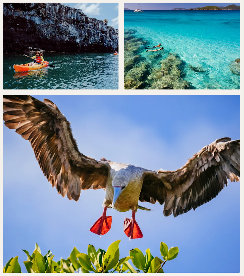 Canoeing and snorkling with boobie Galapagos Islands