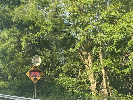 Signs & Exits