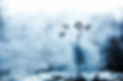 discovering-hot-water-1024x681.jpg