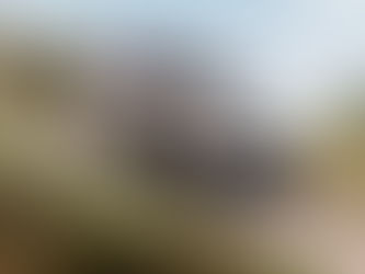 Novo Citroën C3 Aircross chega em novembro | Motores