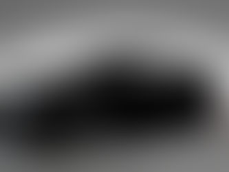 AUTO | Novo BMW X6: o primeiro carro do mundo em Vantablack