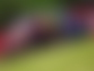 Moto2, Alemanha, TL: Ramirez à frente de Aldeguer e Chantra