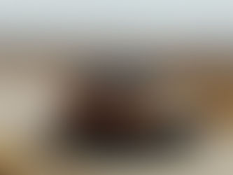 AUTO | Duster renova-se e fica mais SUV que nunca