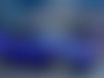 AUTO | O que dizem os responsáveis da VW sobre o novo Polo