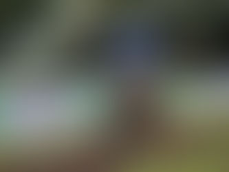 CN Enduro: Góis abriu a nova temporada num domingo chuvoso