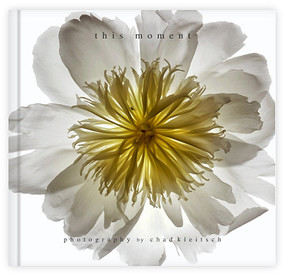 This Moment Scanography by Chad Kleitsch
