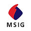 msig.jpg