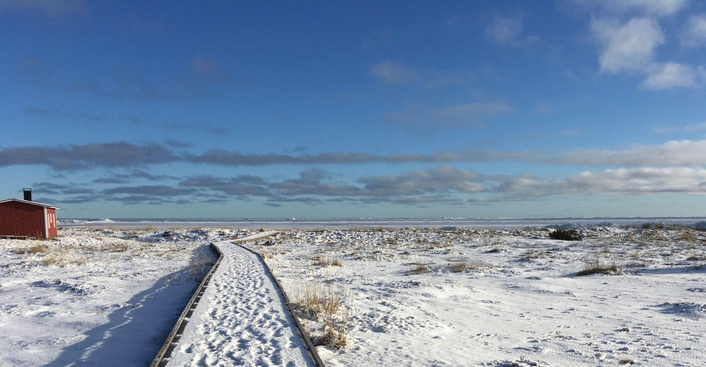 Case study suomeksi image