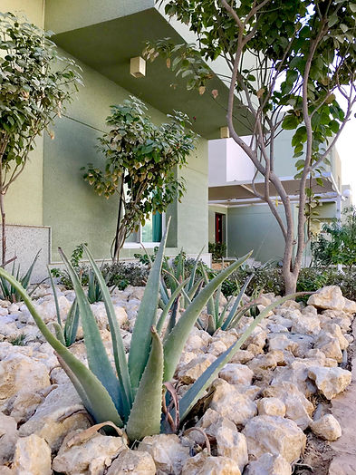 Emerald Village Compound landscaping