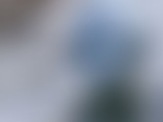 これぞ神技の漁