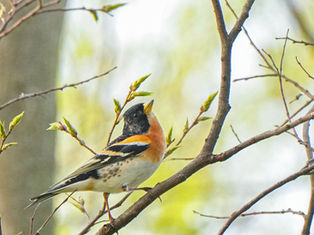 そろそろアーカイブから蔵出しのシーズンかな【Archive Photo】