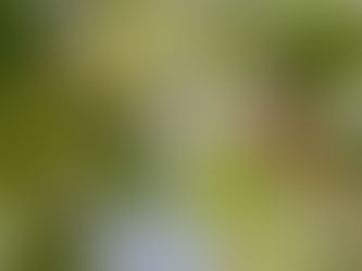 今年はなぜかあまり会えなくて寂しかった【Archive Photo】