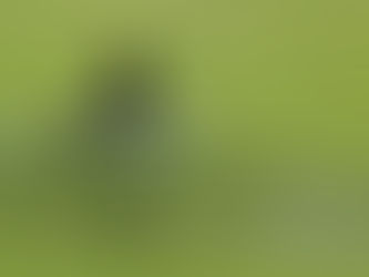 あれ？　北へ帰りそびれたのかい？