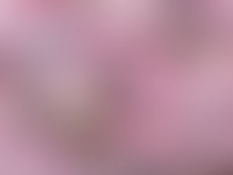 一足先に春爛漫